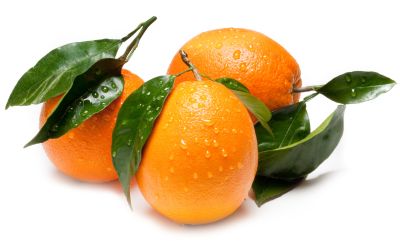 Pomarančovník štepený ´Washington´