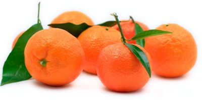 Citrónovník mandarínkový ´Marisol´